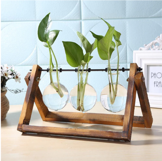 Glass Propagation Vase With A-frame